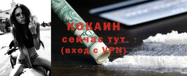 сатива Мегион