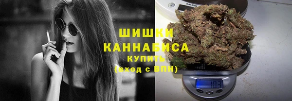 сатива Мегион