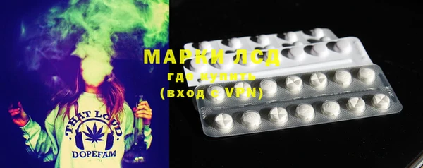 сатива Мегион