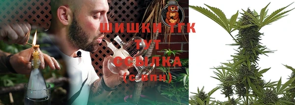 сатива Мегион