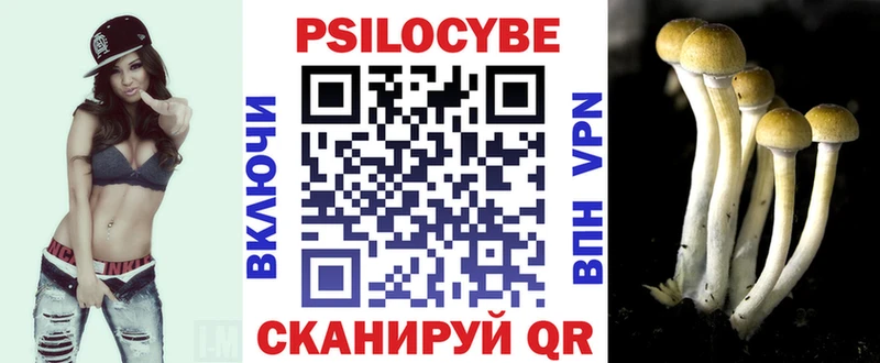 Псилоцибиновые грибы прущие грибы Шумиха