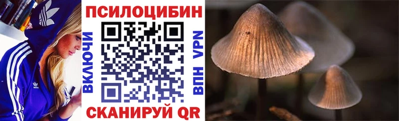 Галлюциногенные грибы MAGIC MUSHROOMS Шумиха